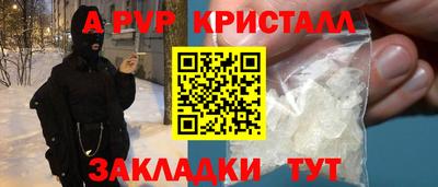 гидра Будённовск