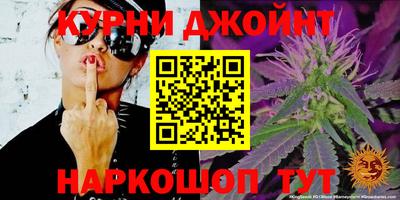 гидра Будённовск