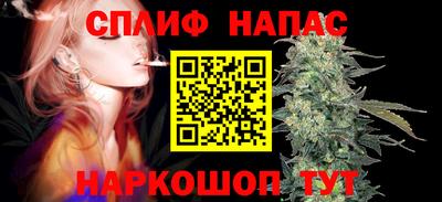 гидра Будённовск