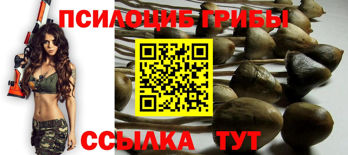 Псилоцибиновые грибы Cubensis Ростов-на-Дону